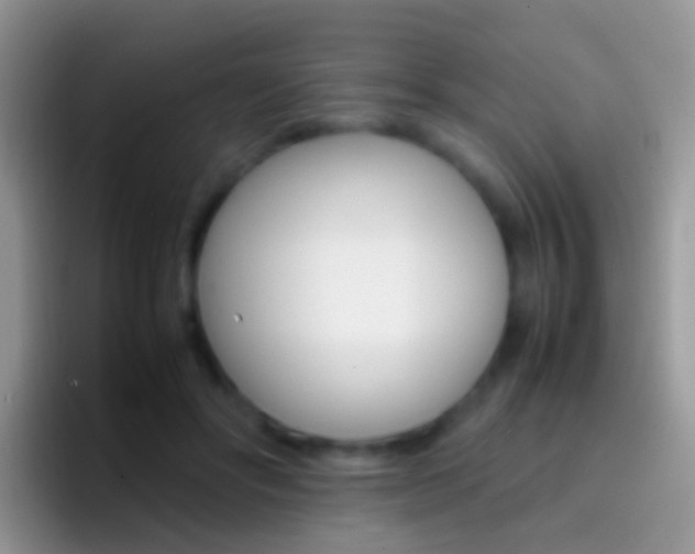 X0000097000502200802081031