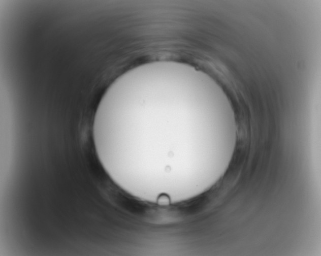 X0000097000503200802081031
