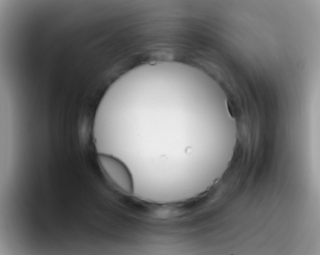 X0000097000504200802081031