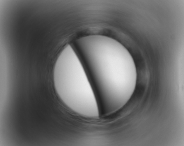 X0000097000505200802081031