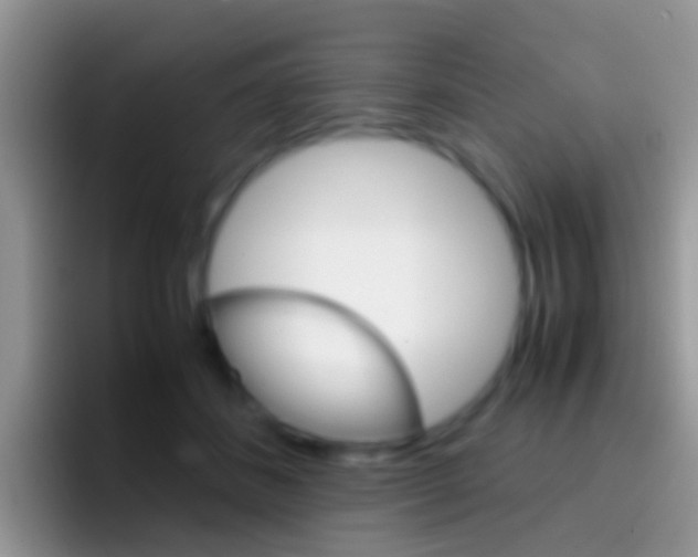X0000097000508200802081031