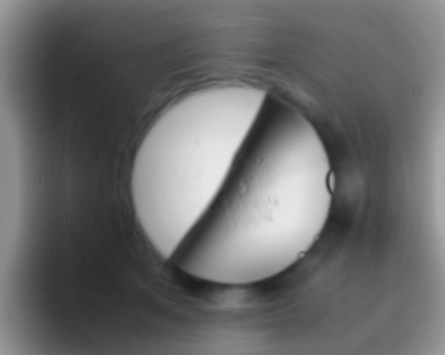 X0000097000513200802081031