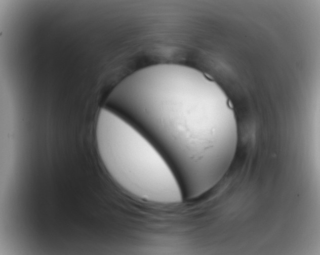 X0000097000515200802081031