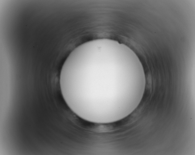 X0000097000522200802081031