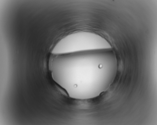 X0000097000524200802081031