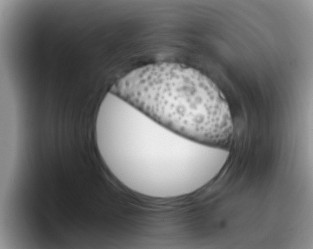 X0000097000527200802081030