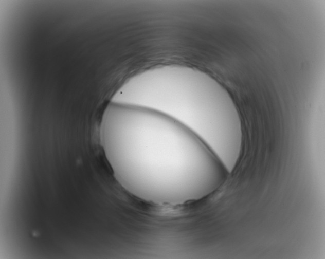 X0000097000528200802081030