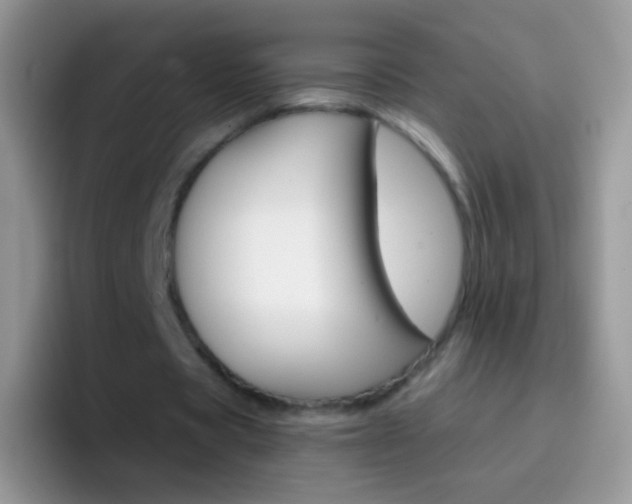 X0000097000529200802081030