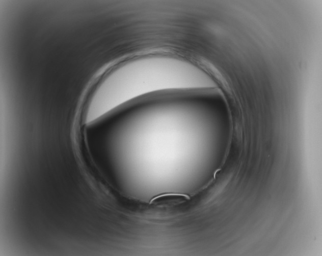 X0000097000532200802081030