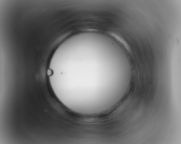 X0000097000533200802081030