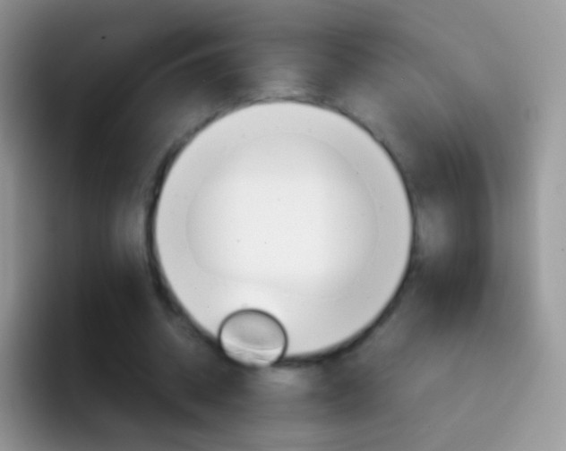 X0000097000534200802081030