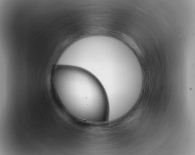 X0000097000538200802081030