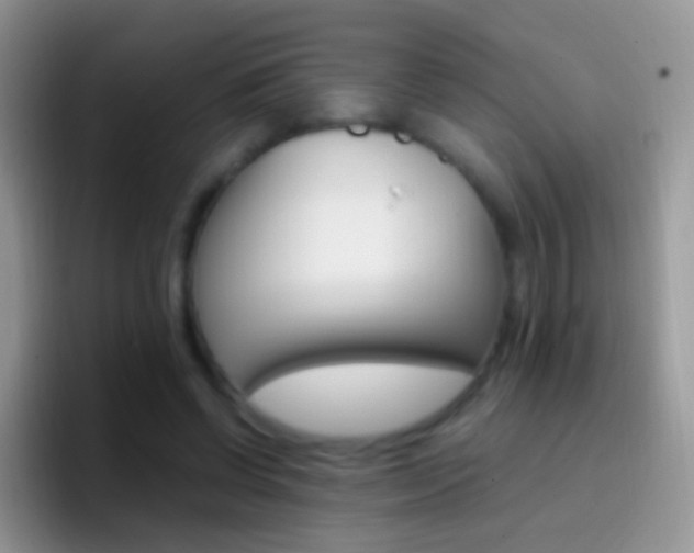 X0000097000542200802081030