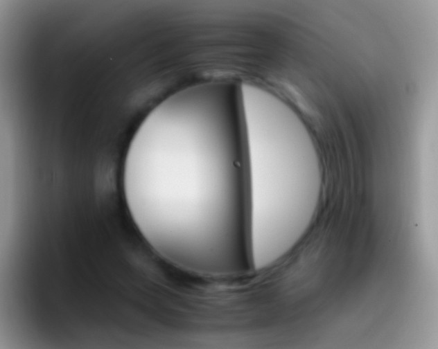 X0000097000543200802081030