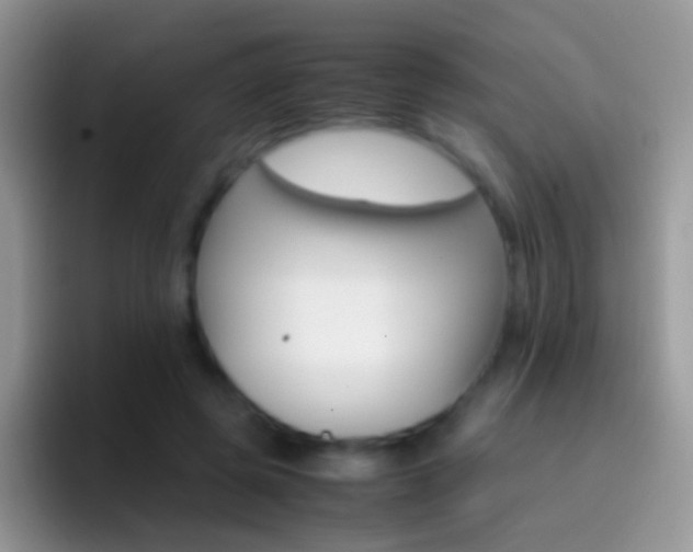X0000097000545200802081030