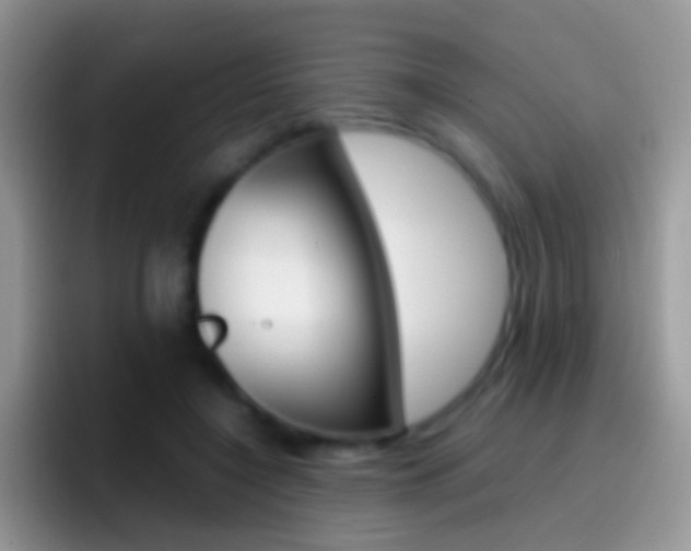 X0000097000548200802081030