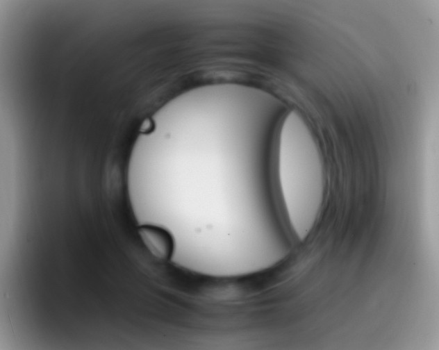 X0000097000551200802081030