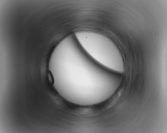 X0000097000552200802081030