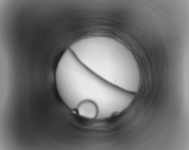 X0000097000555200802081030