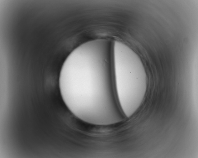 X0000097000559200802081030