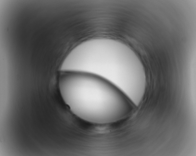 X0000097000560200802081030