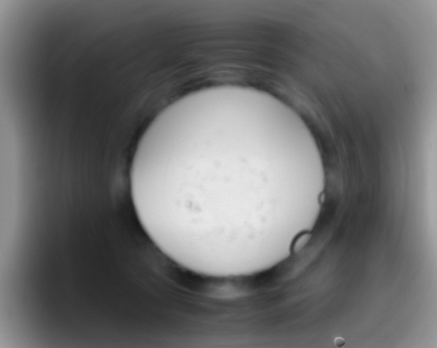 X0000097000561200802081030