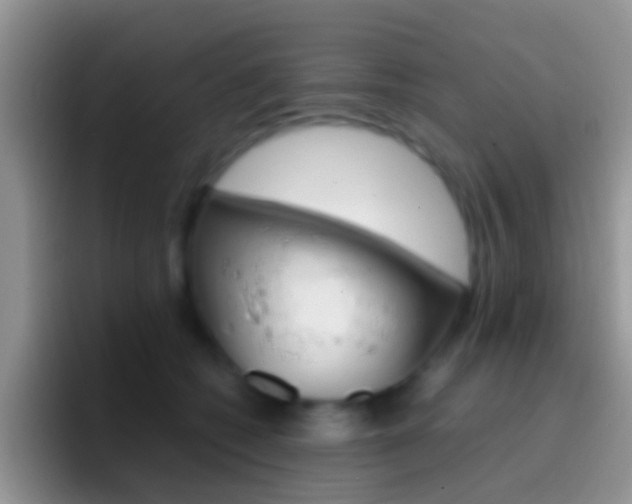 X0000097000562200802081030