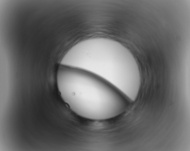 X0000097000566200802081030