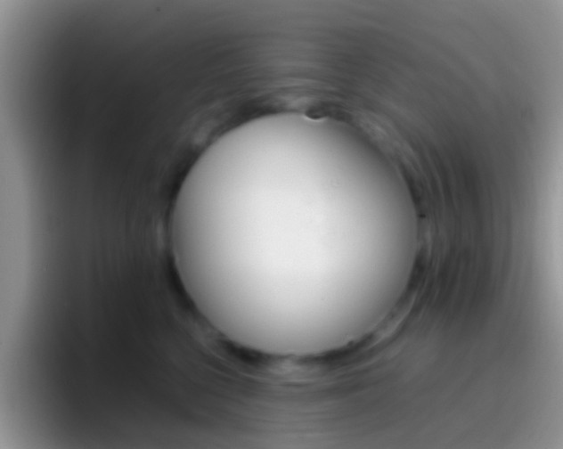 X0000097000568200802081030