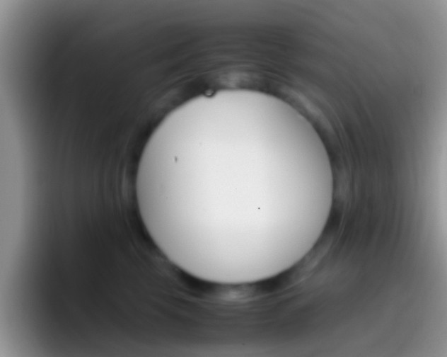 X0000097000569200802081030