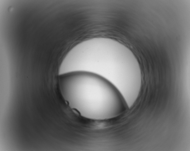 X0000097000570200802081030