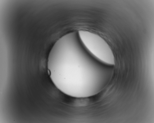 X0000097000571200802081030