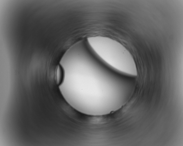 X0000097000574200802081030