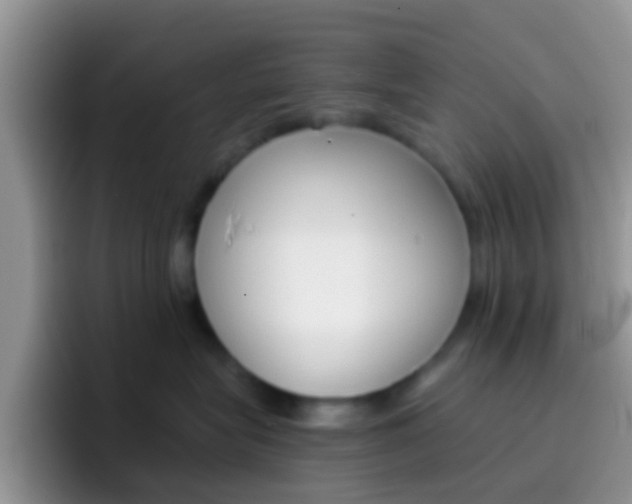 X0000097000575200802081030