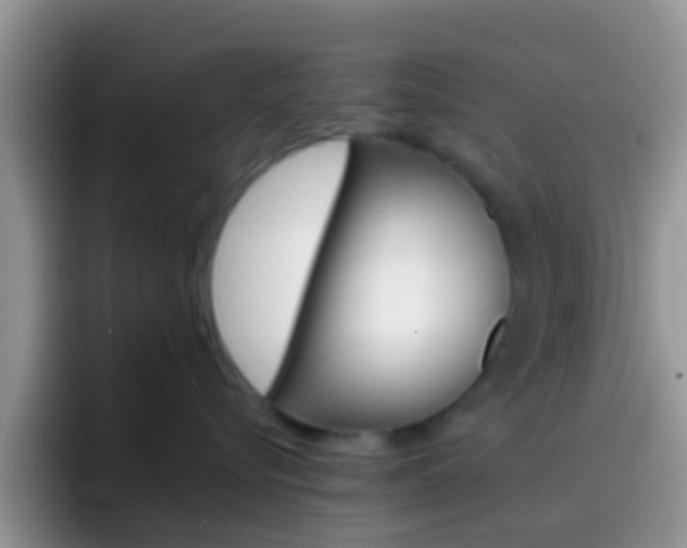 X0000097000576200802081030
