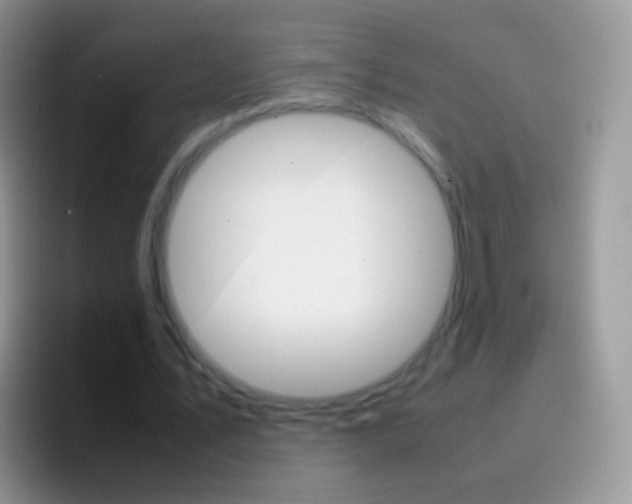X0000097000579200802081030