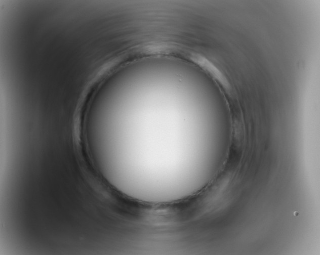 X0000097000581200802081030