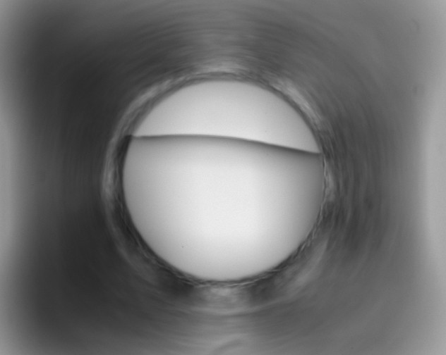 X0000097000583200802081030