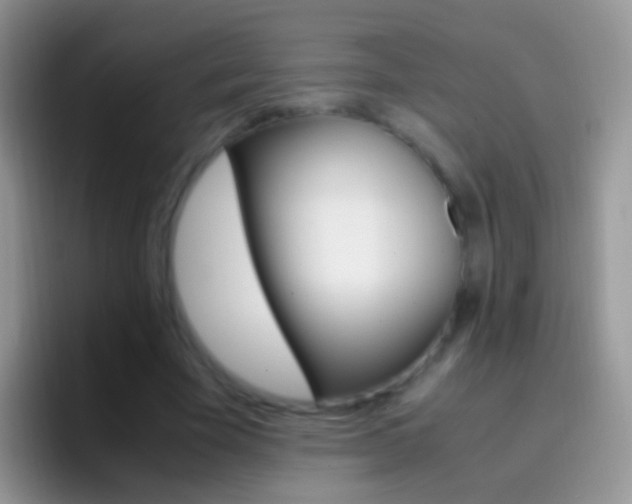 X0000097000585200802081030