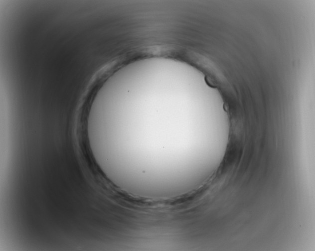X0000097000587200802081030
