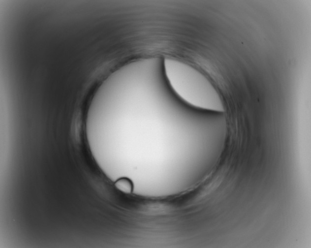 X0000097000590200802081030