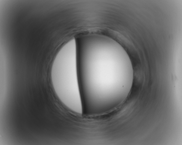 X0000097000593200802081030