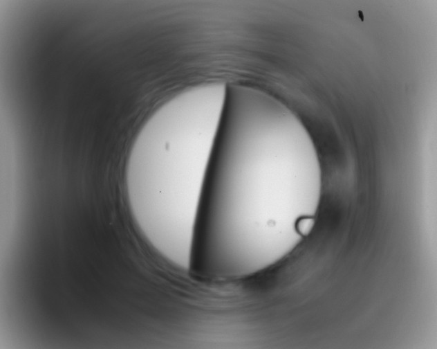 X0000097000599200802081030