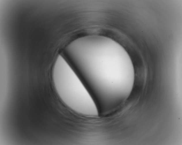 X0000097000601200802081030