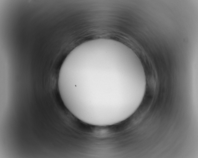 X0000097000602200802081029
