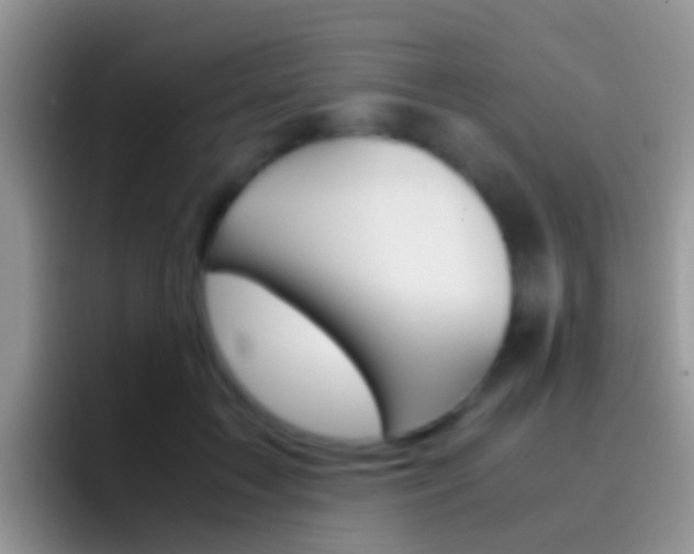 X0000097000603200802081029
