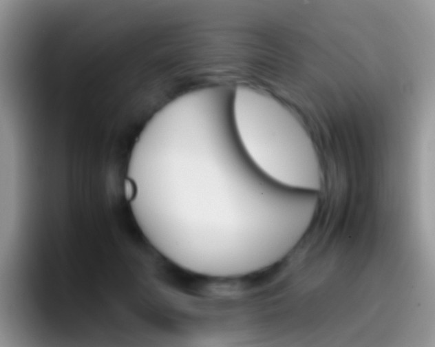 X0000097000606200802081029