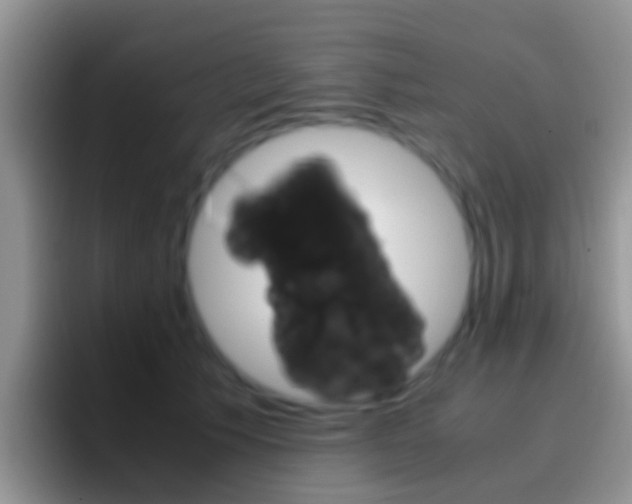 X0000097000609200802081029