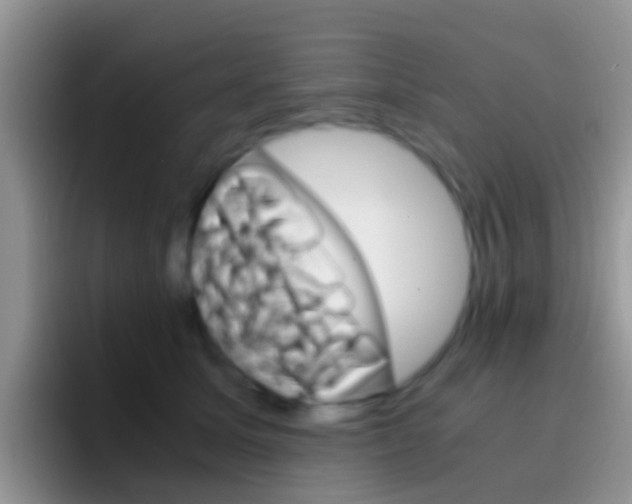 X0000097000611200802081029