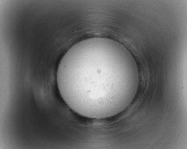 X0000097000612200802081029